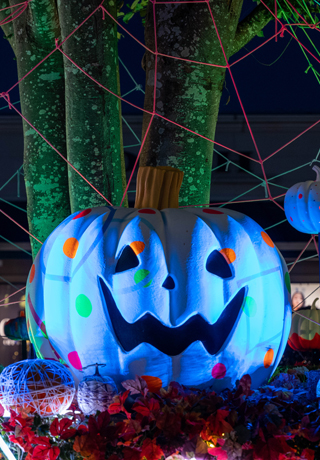 ハロウィン飾り壁面をおしゃれに飾り付ける装飾品のおすすめランキングわたしと、暮らし