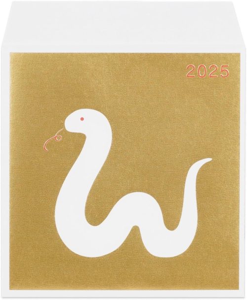 お年玉をあげる人必見！思わずクスっと笑っちゃうポチ袋をレビュー！パーカーの紐をギュッとする北里柴三郎やスーパーのトレー ？Pouch ポーチ