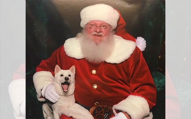 4,787 Santa Claus Home Stock Photos, High-Res Pictures, and Images - GettyImages