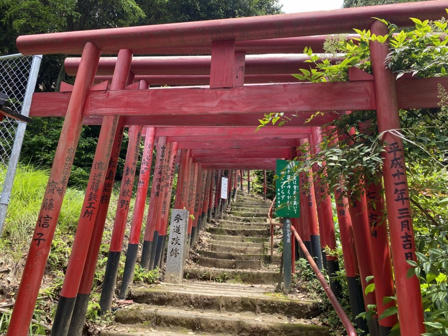 安産祈願 戌の日参り はいつどこで行う？当日の流れや持ち物を解説楽天市場Mama's Life