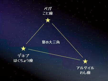 西洋人イケメンが牛飼いの「彦星」に扮装 武漢市--人民網日本語版--人民日報