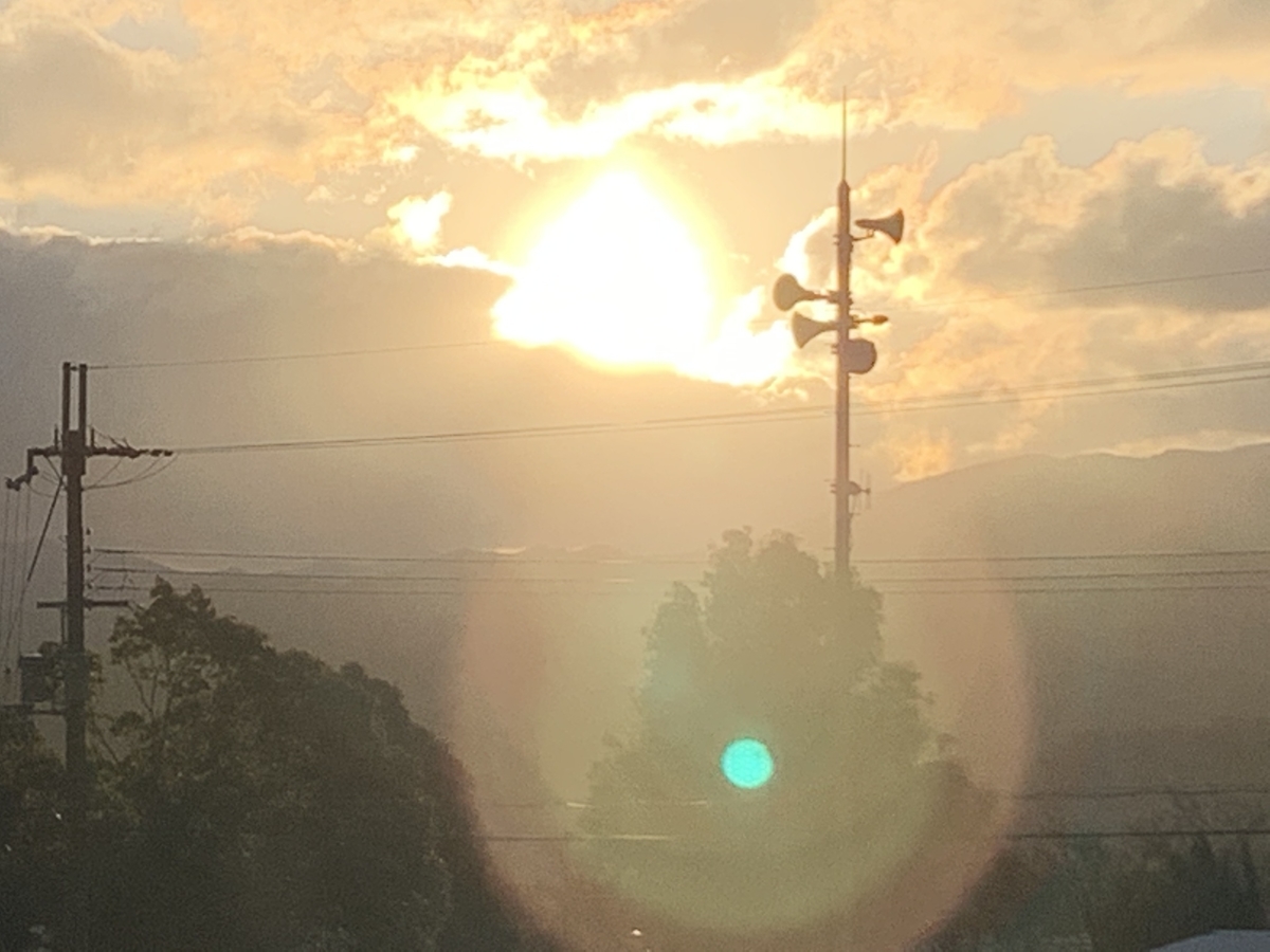 壁紙」のアイデア 12 件壁紙, 初日の出, レインボーローズ 待ち受け