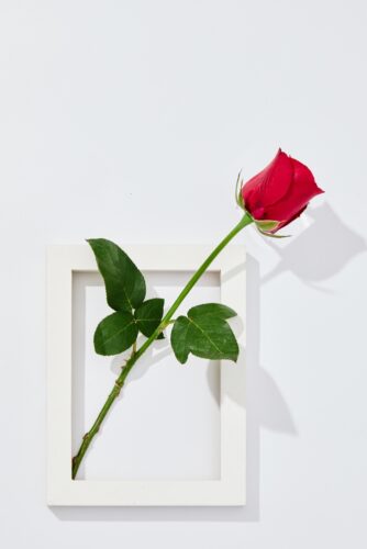 恋愛運アップの待ち受け！ 恋愛成就 最強画像をスマホの壁紙に！plush