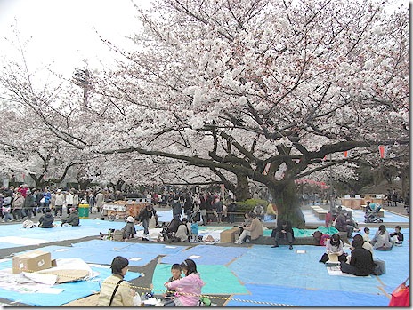 上野観光連盟ブログ