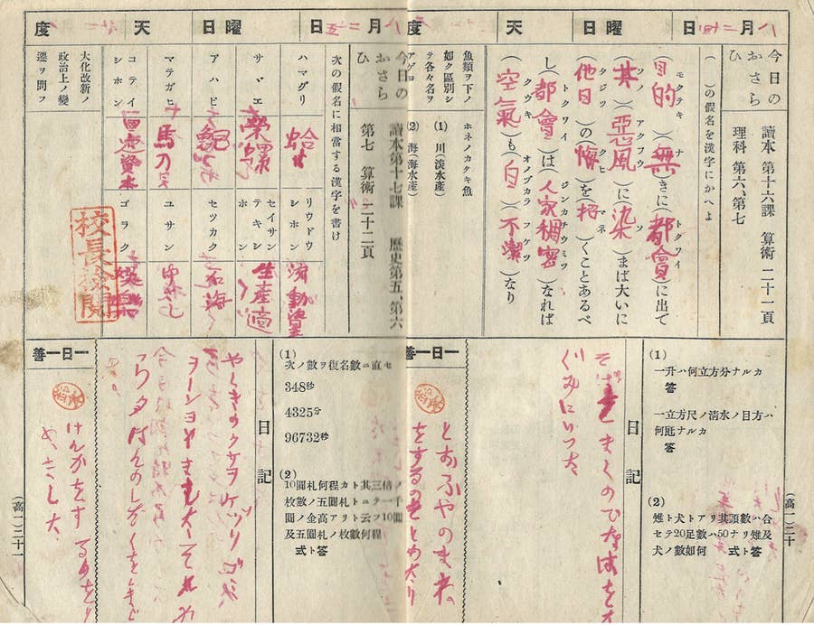 昔の夏休み、何してた？今では見られない光景も！懐かし映像で振り返る昭和平成・愛媛の夏 2024年7月26日掲載 南海放送NEWS NNN
