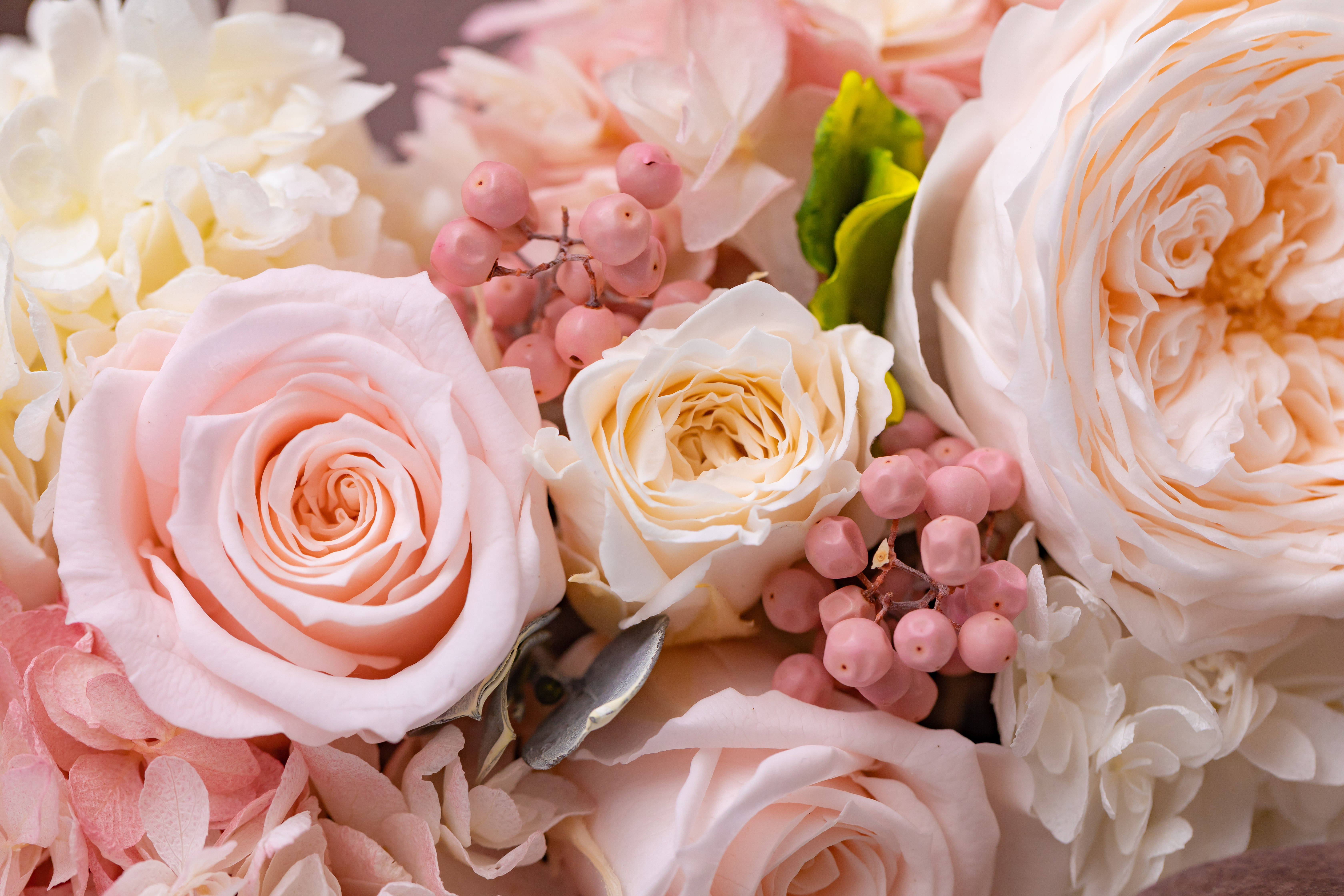 プレゼント・メッセージカードの挿絵のイラスト 無料イラスト フリー素材