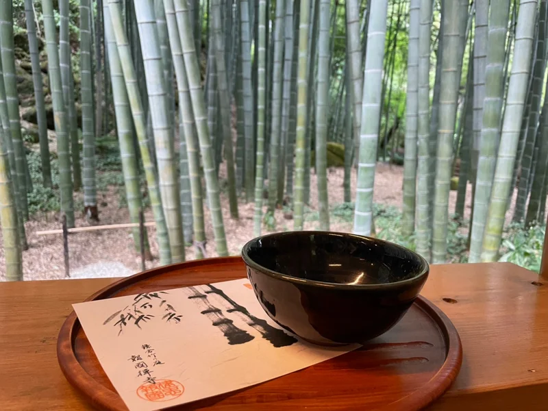 報国寺の竹林で涼み、抹茶を飲む。鎌倉の避暑地で暑さを逃れるゴリミ
