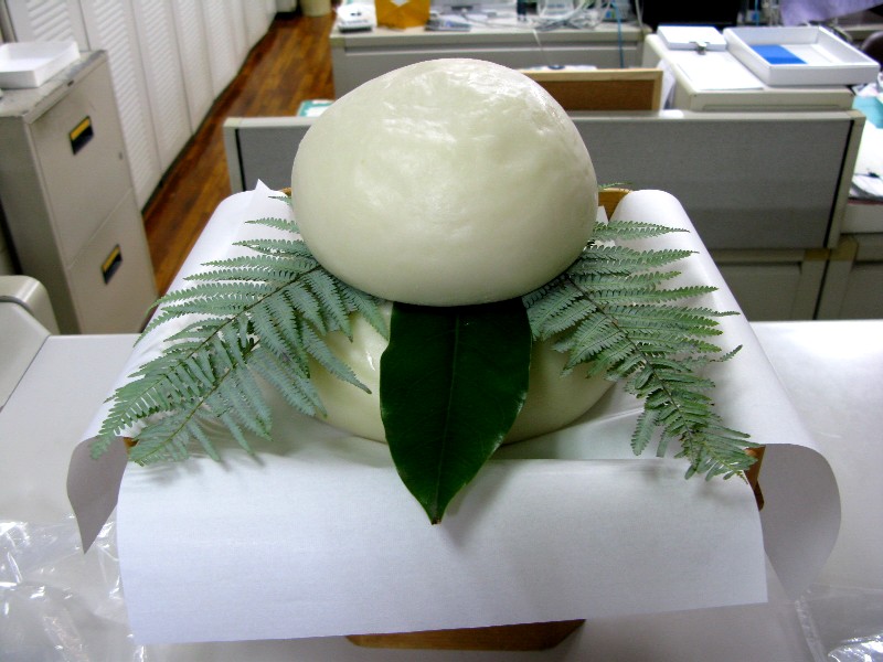 鏡餅の飾り方 半紙の折り方や向きは？飾りの意味と順番も紹介 - 趣味の音