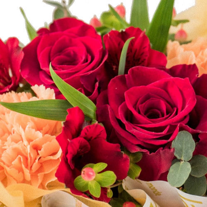 2025母の日 先行予約 7寸カーネーション オレンジ 母の日 ギフト 花 フラワー 植物 お花 贈り物 珍しいカーネーション 底面給水 母の日の プレゼント マイナビふるさと納税