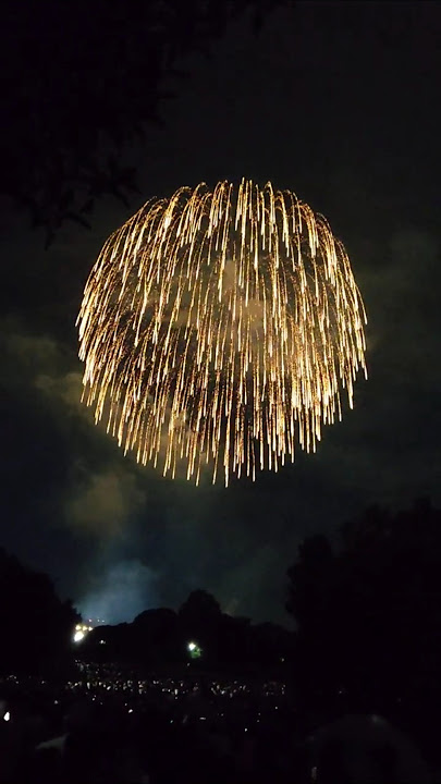 昭和記念公園 花火大会 しだれ柳 - YouTube