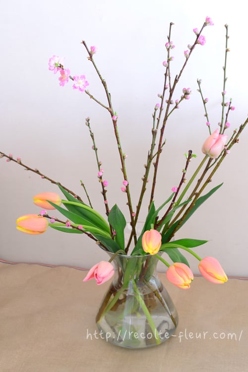 桃の花の楽しみ方と桃の節句