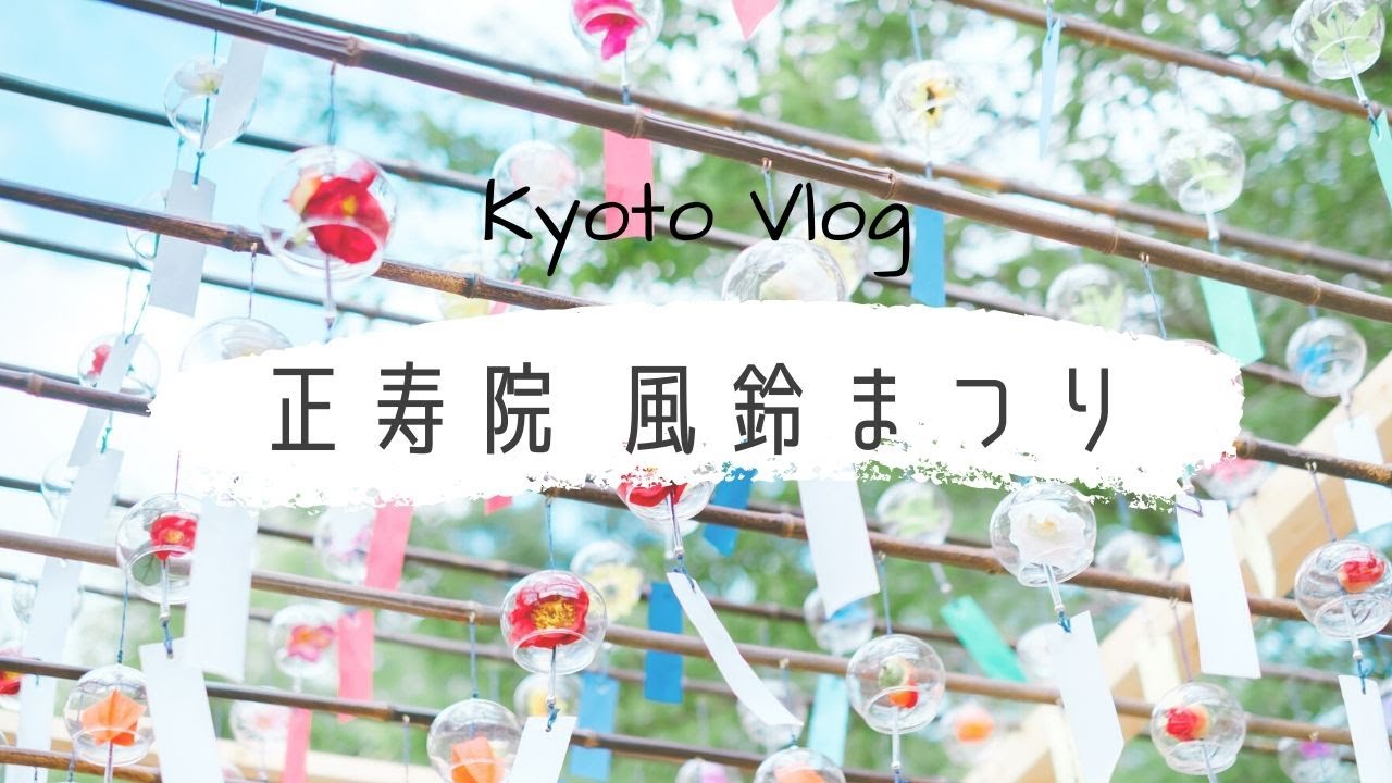 正寿院 風鈴寺 の50年に一度の特別開帳と風鈴まつり産土神社で開運＆良縁結び❣️時々ねこ猫