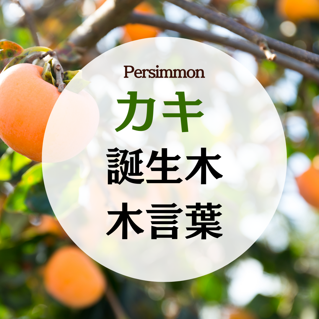 10月の誕生花一覧誕生月と誕生日の花言葉観葉植物・お花の通販 AND PLANTSアンドプランツ