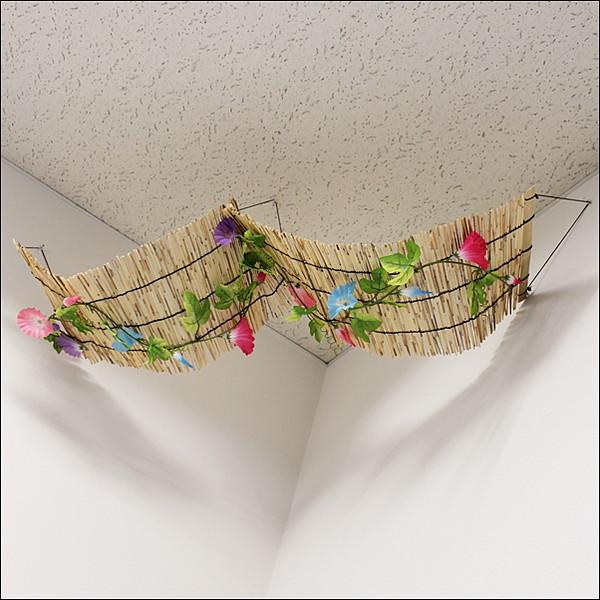 夏飾りのインテリア実例RoomClip ルームクリップ