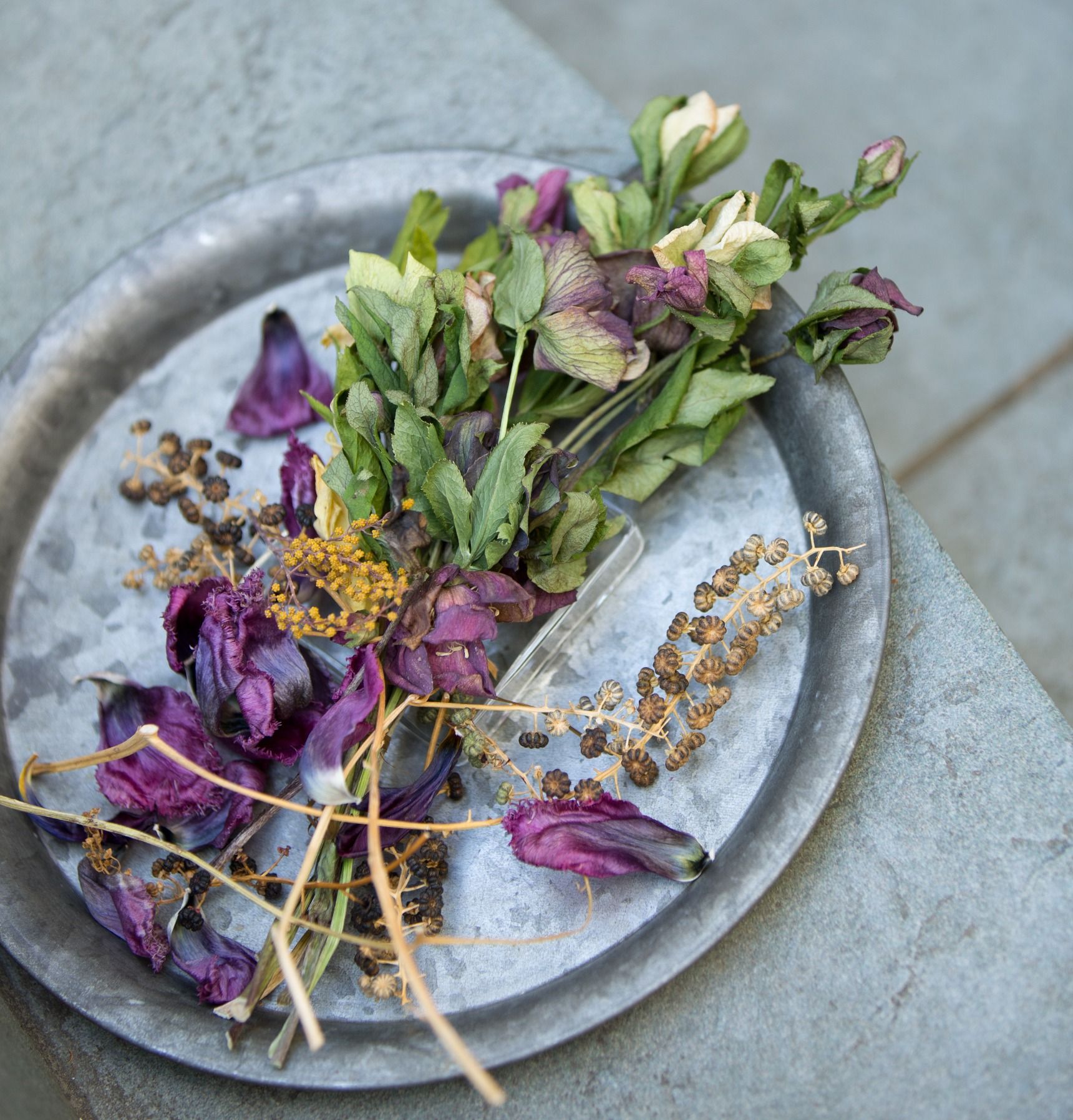 クリスマスローズのアメージングドライフラワーです。 クリスマスローズは ドライフラワーに作りにくいような 印象がありますが、実は簡単なのです。◇アメージングドライフラワーの 作り方と美しさの理由、制作キットは プロフィールに記載のホームページへ