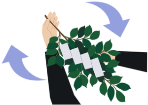 地鎮祭とは？必要なものと知っておくポイント！！ : 岐阜県恵那市の注文住宅・GoodホームGoodホーム株式会社