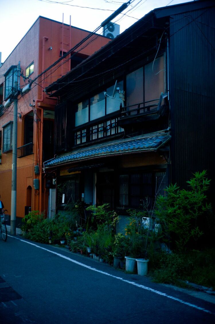 お正月も多くの料理店が営業する松島新地。 ⁡大阪市西区西区九条松島料理組合 旧松島遊廓赤線跡昭和レトロノスタルジックoldJapanretroJapanstreetphotographyosakatrip