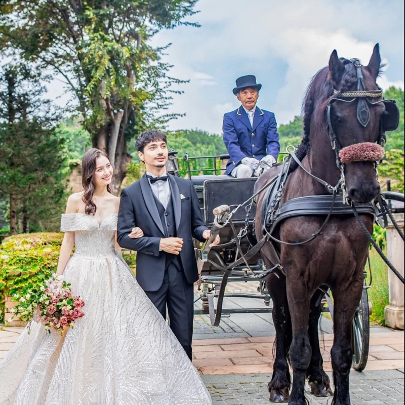 楽天市場 かぼちゃの馬車 Lサイズ ワイヤー製品 アレンジ花器 フラワーベース 花嫁diy プリンセスウェディング 手作り結婚式 :Hitomiの幸せデリバリ