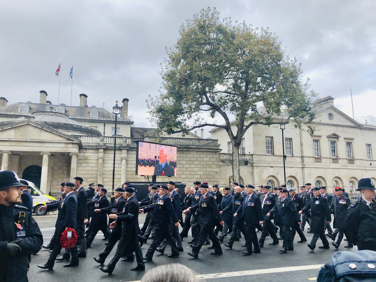 リメンバランスデーの赤いポピーのバッジに変化がTORJAニュース報道局TORJA