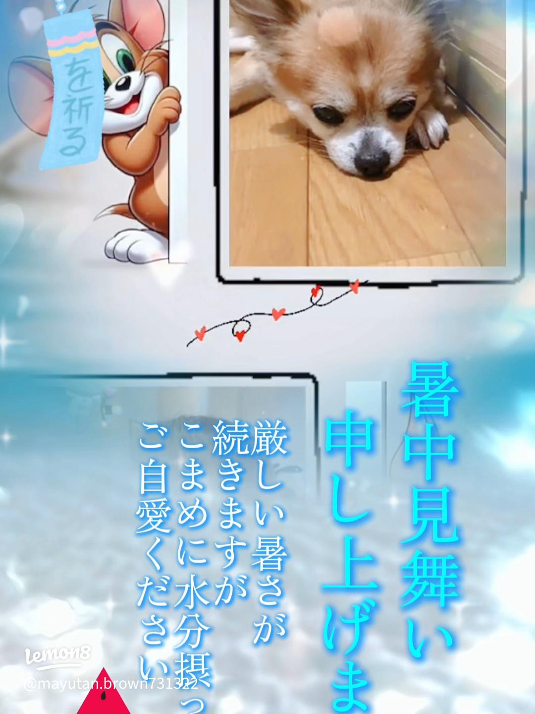 ７月２３日に「暑中見舞い」ハガキを：由来と時期 - 伝筆らぼ