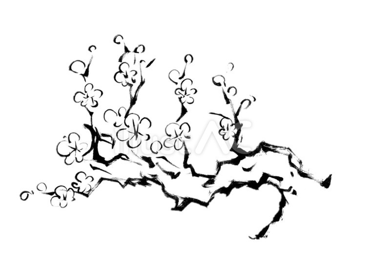 2025年 モノクロ年賀状オリジナル年賀状印刷はMBE