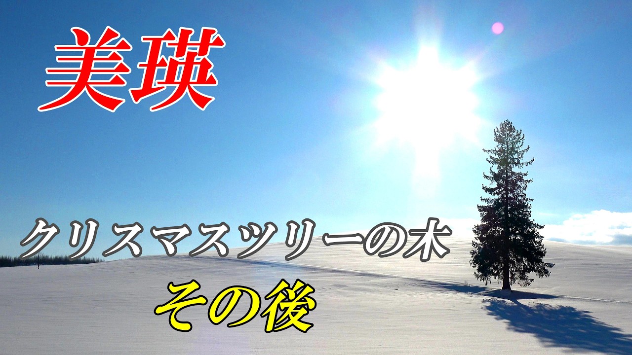 北海道 美瑛町 クリスマスツリーの木120703113 の写真素材 - アフロ