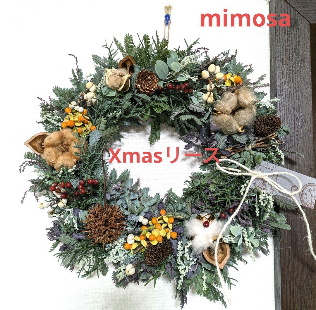 ストア・エキスプレス55cm デラックスナチュラルリース レッド クリスマス装飾8258-1048 1個 38-44-1-1 直送品-アスクル