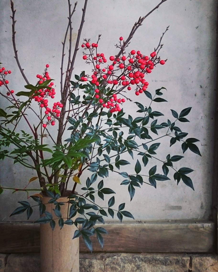 簡単おしゃれに。正月は迎春の花飾りを生けよう！ハルメク暮らしとお金