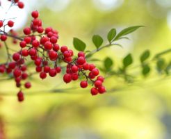 ハロウィン ハンドメイド 壁面飾り 幼稚園 保育園 秋 アンパンマンYahoo!フリマ 旧PayPayフリマ