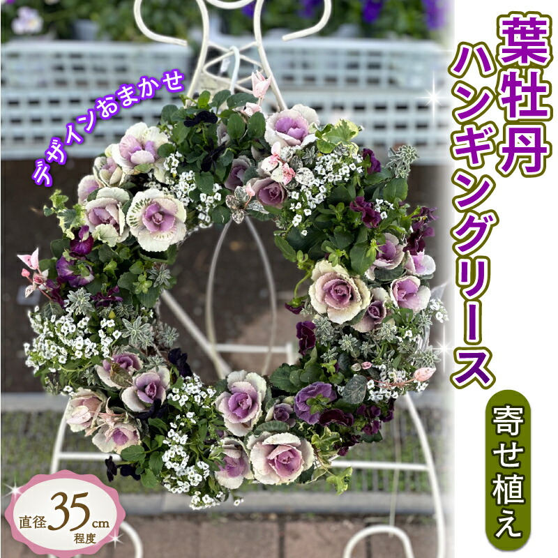 お正月葉牡丹寄せ植え : フラワーショップ パレット - 通販 - Yahoo!ショッピング