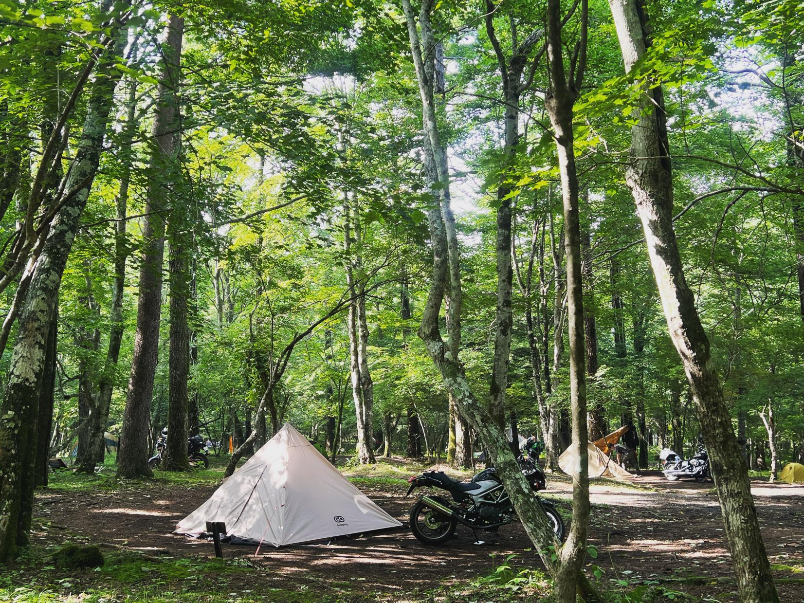お盆キャンプは2日目からはやばいくらいの豪雨が終日続きました😅いつも川遊びしている清流が豹変お盆キャンプサバティカルサバティカルアルニカ温泉があるキャンプ場
