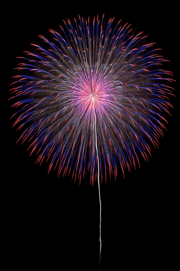 4K きほくの夜空に舞う奇跡「彩雲孔雀」花火Saiun Kujaku Fireworks - Kihoku 2025