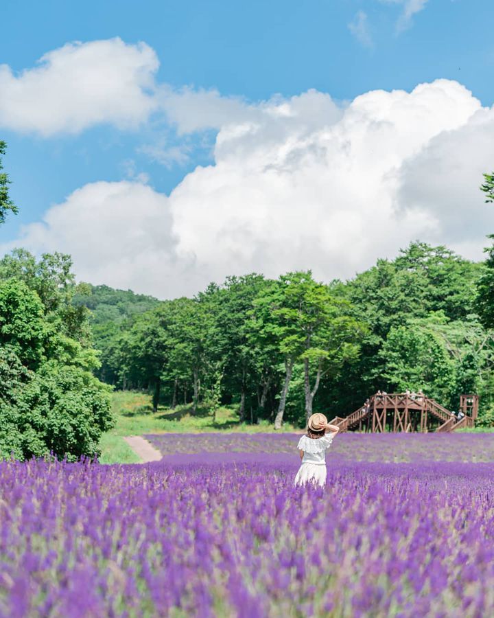 ハロウィンラッピング 海外サイトのアイディア16選！ハンドメイド ラボ