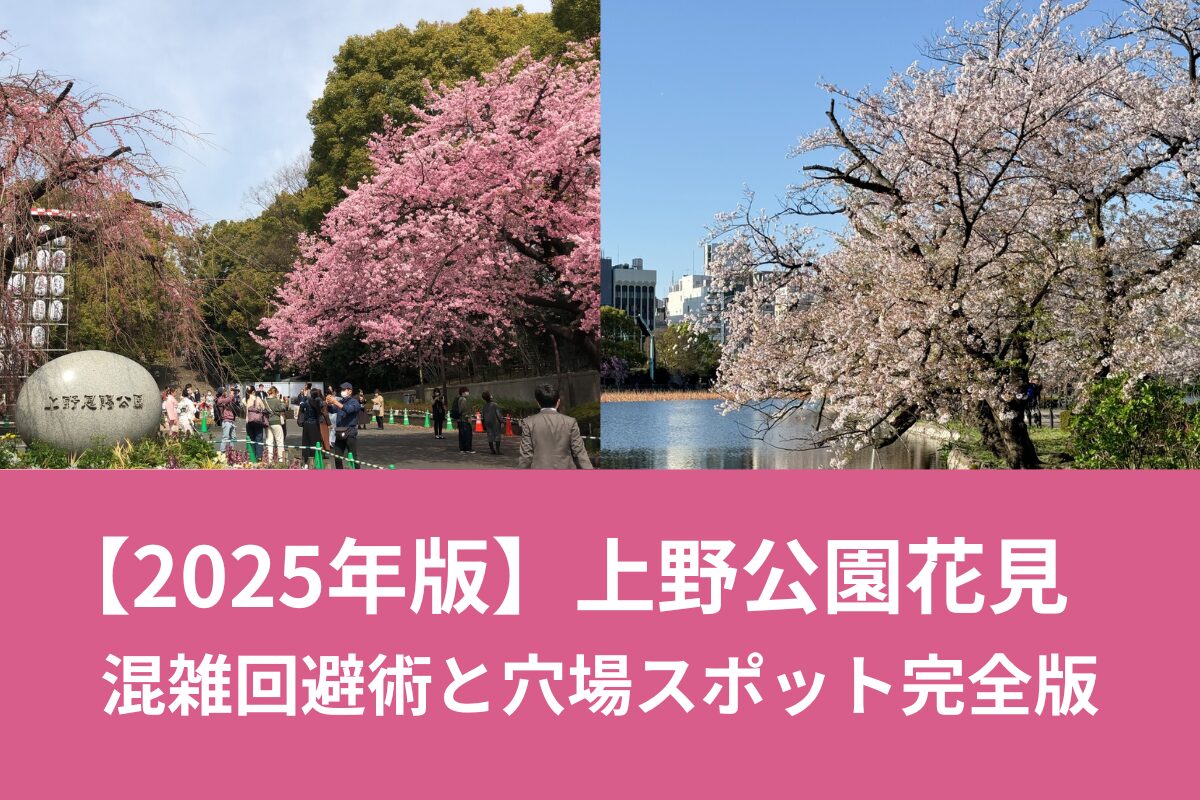 検証 花見はしたいけど混んでるのは嫌なので朝6時に上野公園に行ってみた結果ロケットニュース24