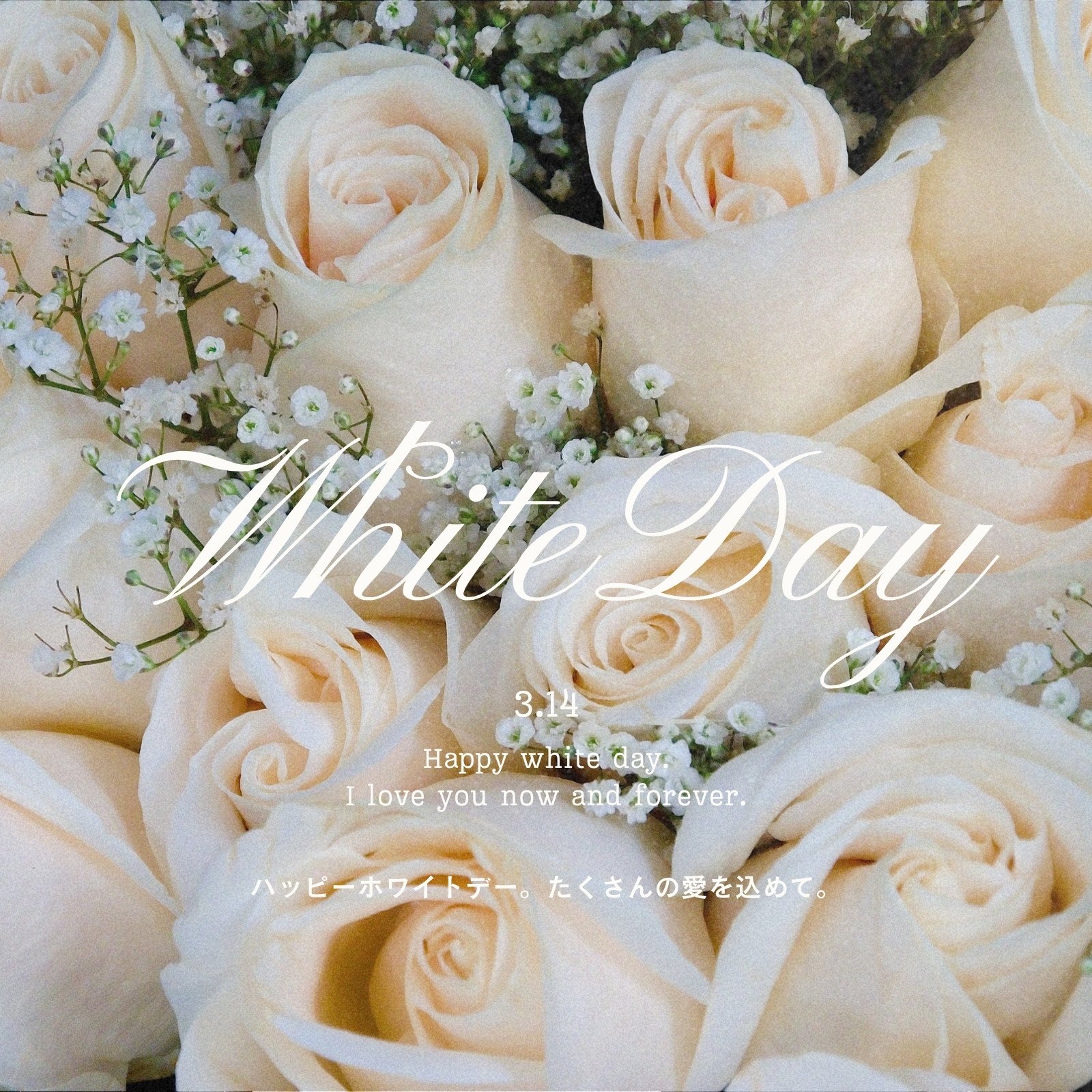 ハッピーホワイトデーのポスターデザイン無料ベクトル素材