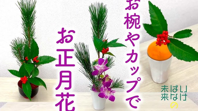 直前!!! 南天の実 30cm程度 生花- 花材通販はなどんやアソシエ