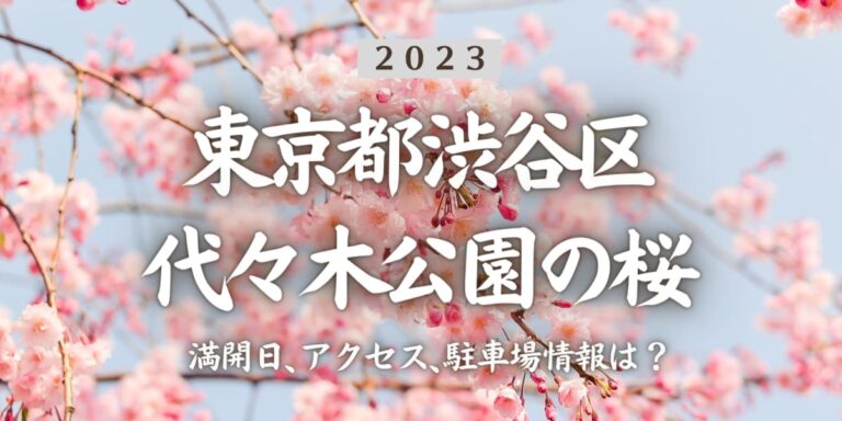 代々木公園の桜2024の混雑回避の時間帯は?屋台 出店 やトイレの場所もチェック!To The Next Stage