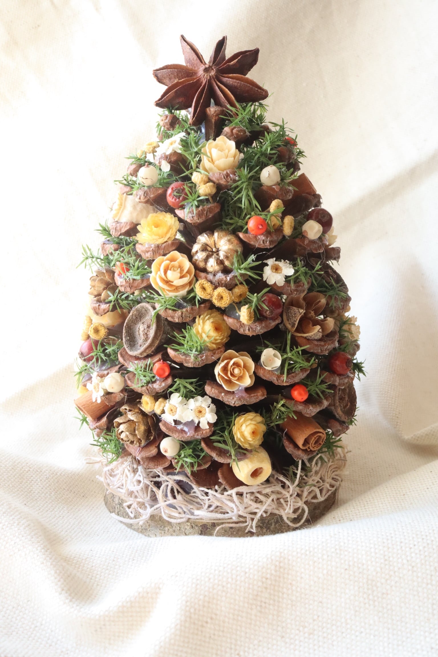 キャンプで持ち帰った松ぼっくり、ツル、どんぐりで「思い出クリスマスリース」を作ろう自作・DIYBE-PAL キャンプ、アウトドア、自然派生活の情報源ビーパル