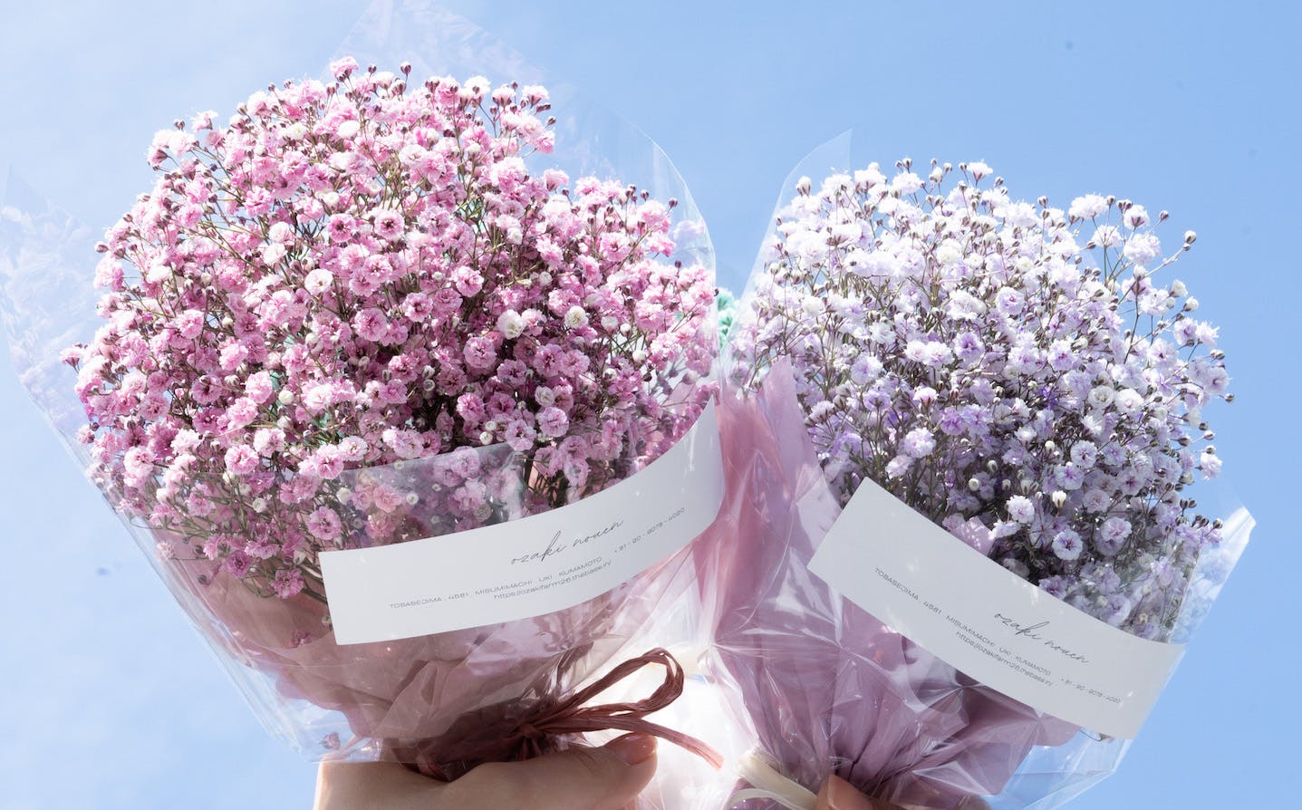 カスミソウブーケS送料無料あすつくカスミソウドライフラワー生花送別卒業誕生日記念日サプライズ映えあすつく