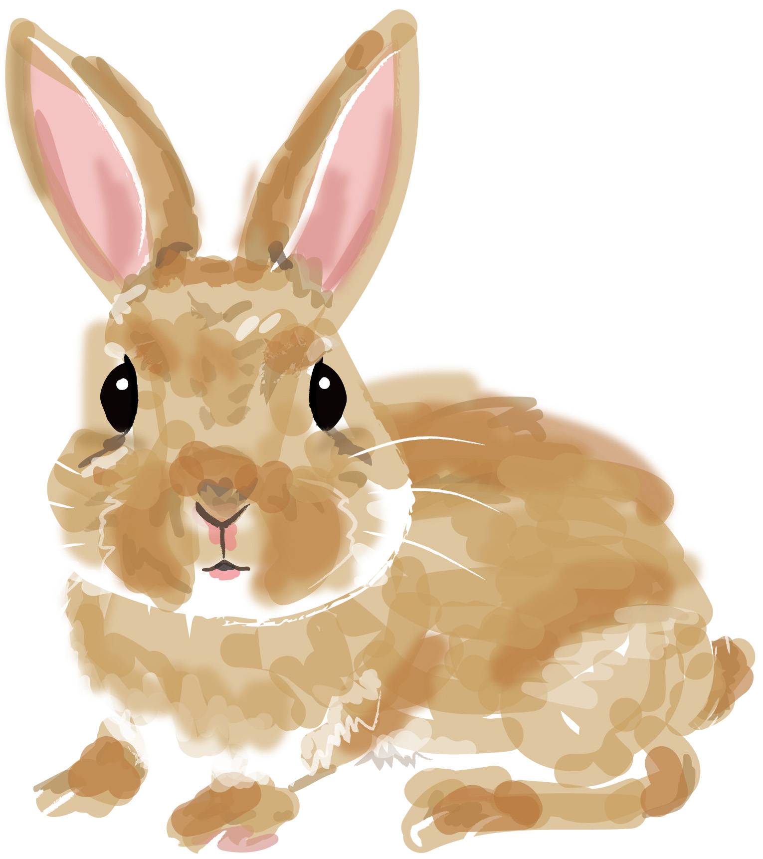 無料年賀状イラスト素材「卯 う 」見つめるうさぎダウンロードかわいいイラストとテンプレート 年賀素材館