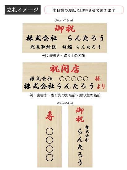 胡蝶蘭スタンダード白色３本立 胡蝶蘭の販売、通販、お祝い、贈答、ギフトのオアシス