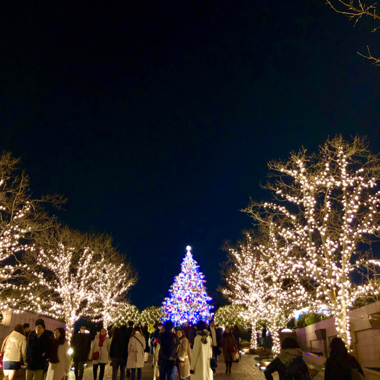 みきちさんの投稿 恵比寿ガーデンプレイス ウィンターイルミネーションことりっぷ