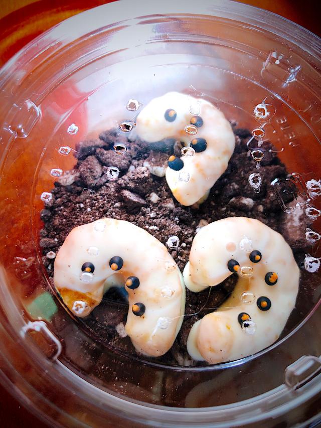 ２か月後に破局した」 衝撃の『手作りバレンタインチョコ』をご覧ください – grapeグレイプ