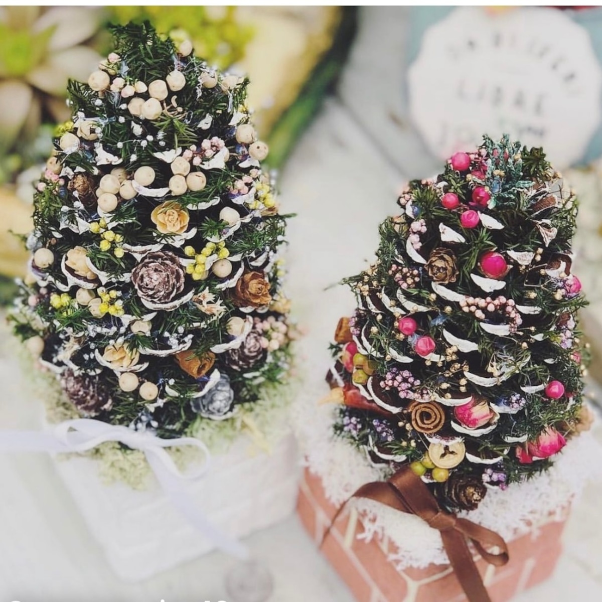 楽天市場 クリスマス 松ぼっくり ツリー 制作キット 北欧 おしゃれ 卓上 キット クリスマスツリー 手作り 子供 工作 イベント オーナメントナチュラル 飾り 送料無料 プリザーブドフラワー ドライフラワー アレンジメント 簡単 プレゼント 新作 2023 : ハーバリウム花材