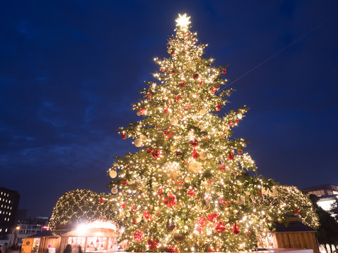 Amazon.co.jp: HGJH ミニ クリスマスツリー 卓上装飾 クリスマスツリー 卓上置物 おしゃれ 北欧 クリスマス飾り 雑貨 商店 玄関テーブル置物 室内装飾 雰囲気満 卓上 クリスマス飾り キラキラ 雰囲気満々 60cm 小型クリスマスツリー 小型 カラー4 雪化粧ツリー :