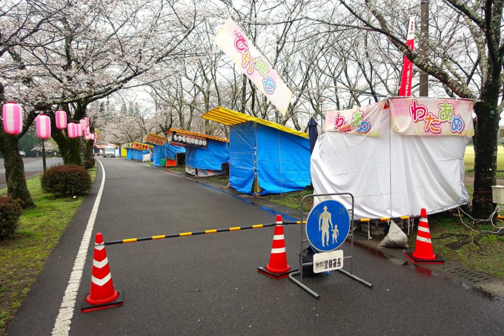 忠元公園の桜並木 アクセス・営業時間・料金情報 - じゃらんnet