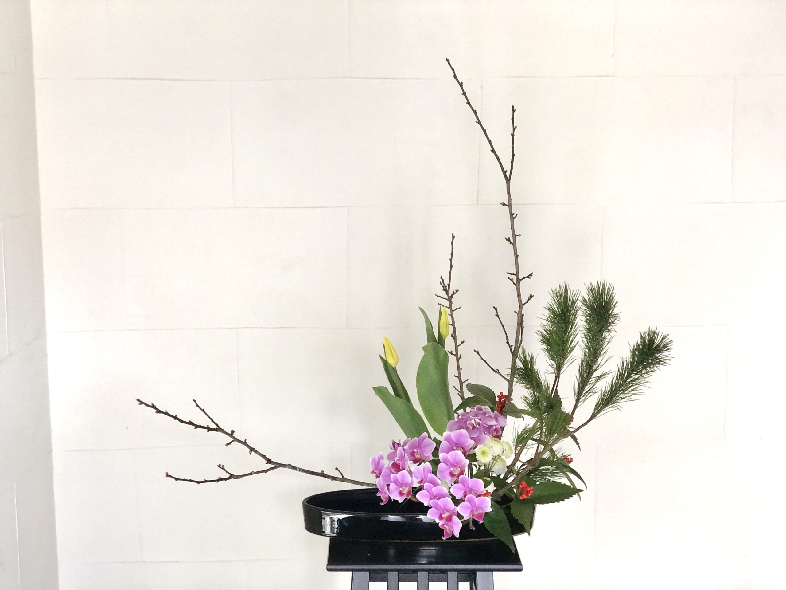 08直前 お正月松のシンプルお飾りキット☆ 生花- 花材通販はなどんやアソシエ