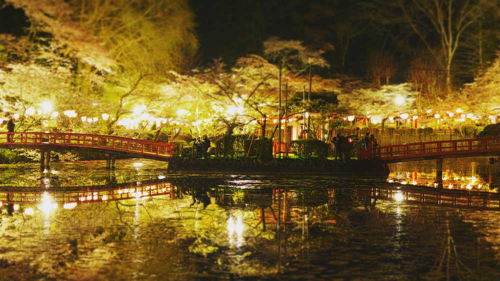 2024年は 千葉の桜 で春を満喫：祭り盛んな桜の名所から穴場まで一挙紹介THE GATE日本の旅行観光マガジン・観光旅行情報掲載