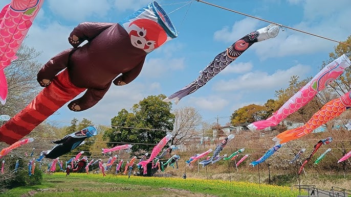 ＧＷ名物「泳げ鯉のぼり相模原」 資金・人員不足で断念社会カナロコ by 神奈川新聞
