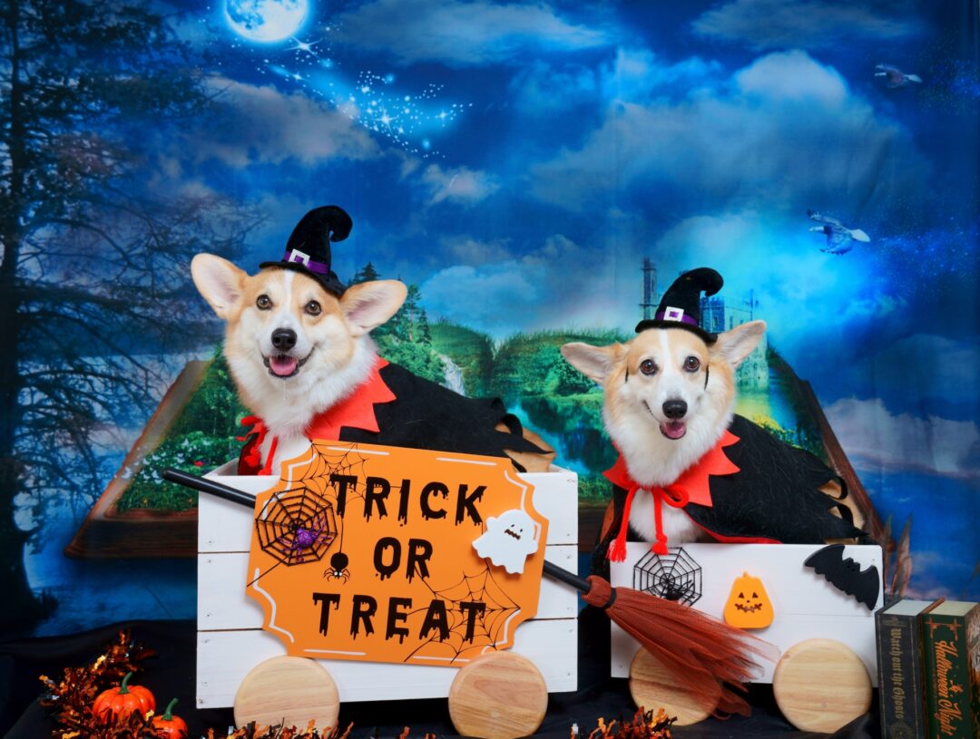 ジャック・オー・ランタン - Wikipedia